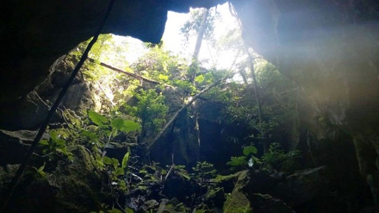 New cave discovered in Phong Nha - Ke Bang National Park