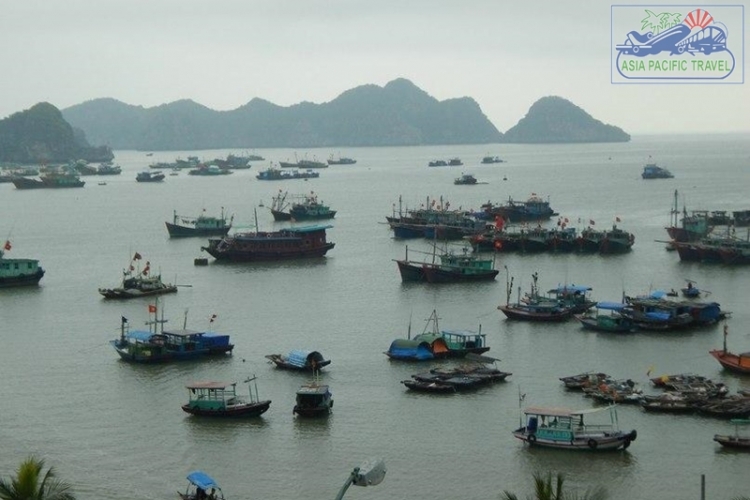 Hai Phong promotes Cat Ba Island tourism