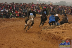 Bac Ha horse racing festival