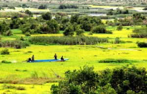U Minh Thuong Park gets acclaimed Ramsar status