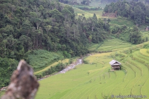 Viet Nam's rice terraces among world's ‘most surreal landscapes'
