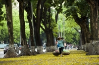 Hanoi- an elegant and hospitable tourist city for peace