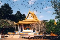 Doi Pagoda – One of the best tourist attractions in Soc Trang